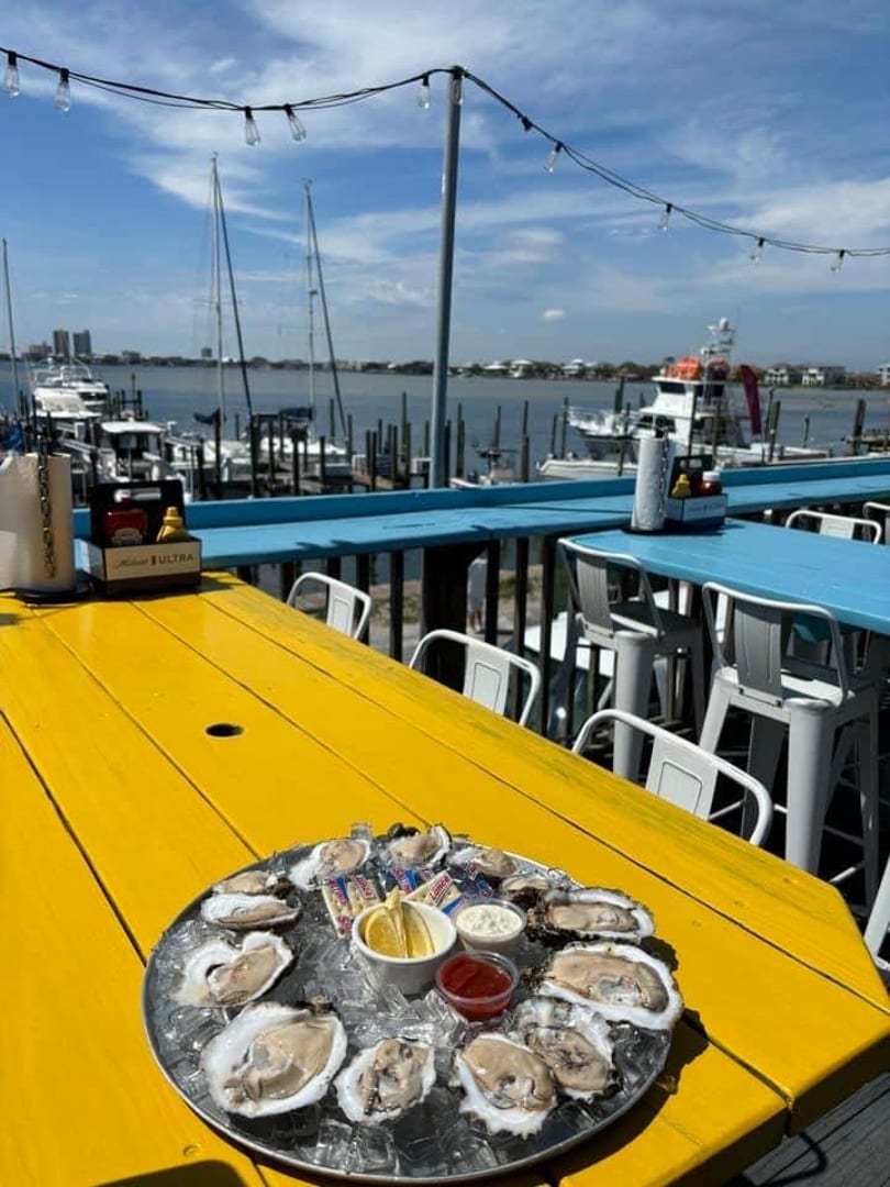 Oysters on a yellow picnic table overlooking a marina with boats and blue skies.
