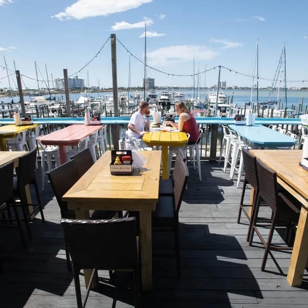 Diners on a sunny outdoor patio overlooking a marina with boats and distant buildings.