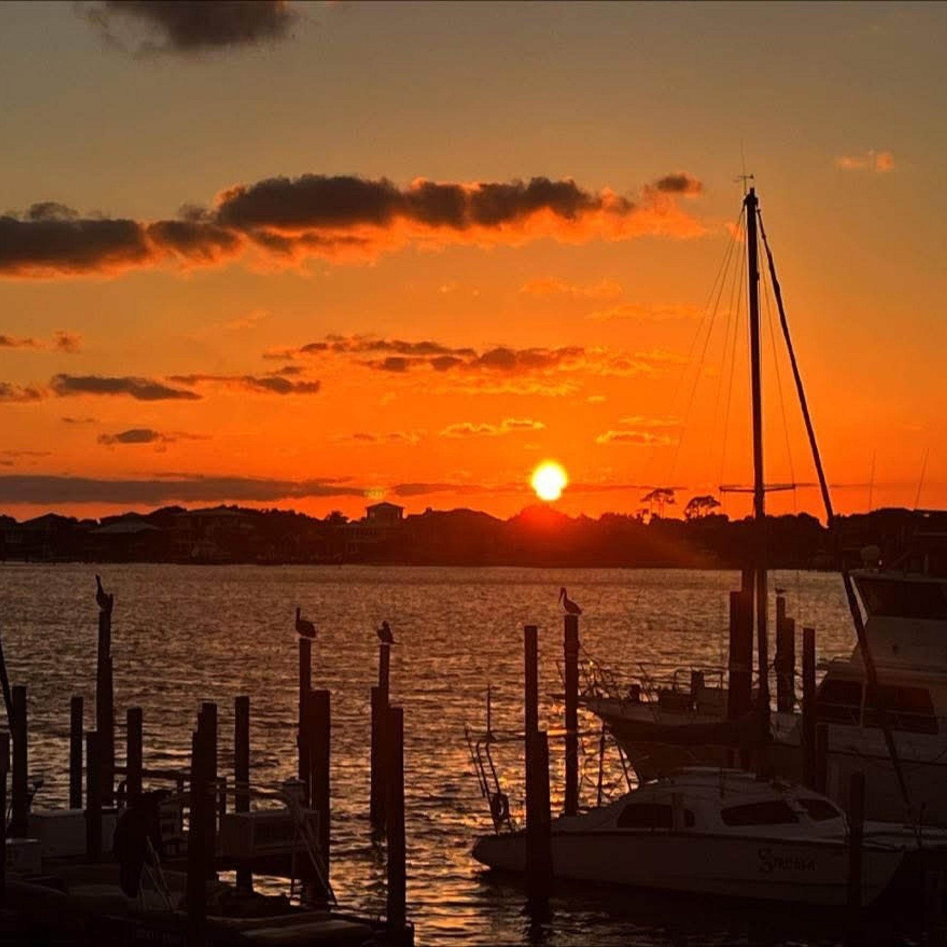 Give the Gift of the Gulf