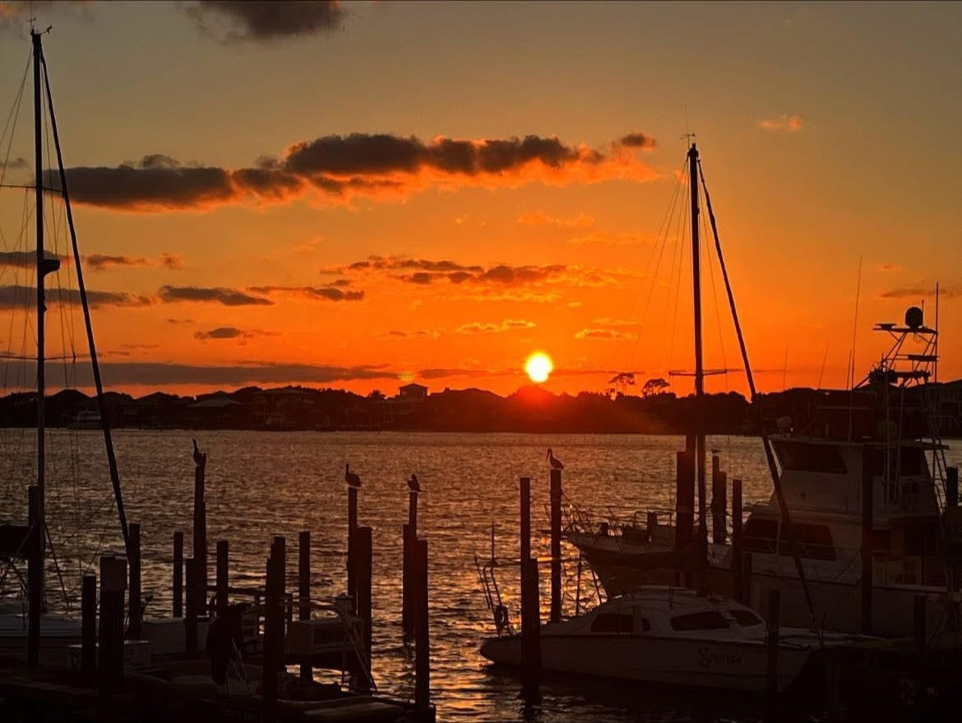 Give the Gift of the Gulf